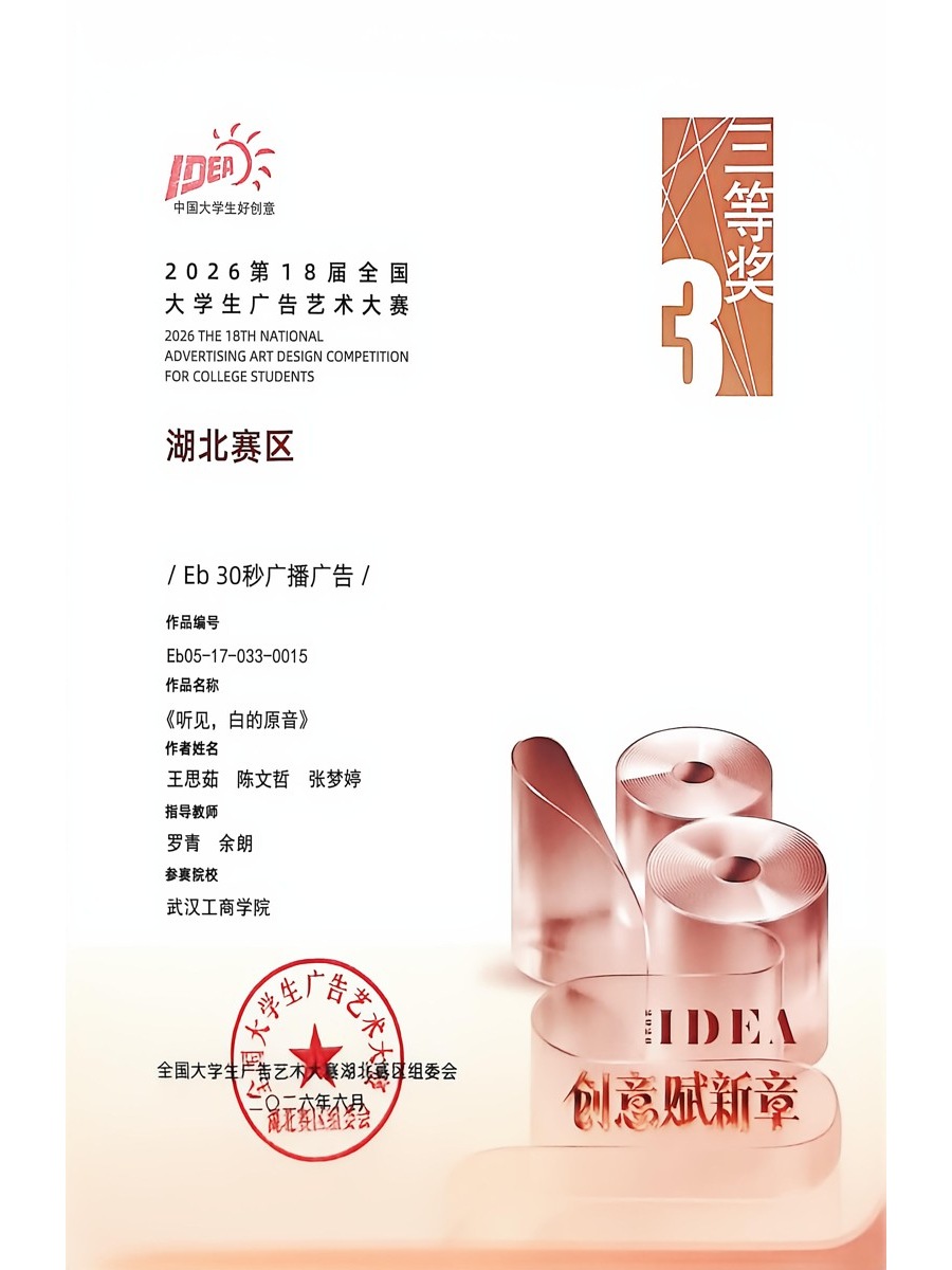 湖北赛区三等奖《听见，白的原音》